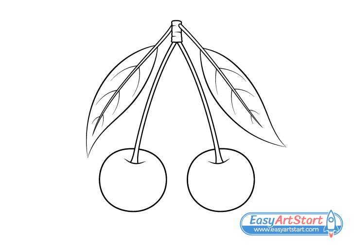 cherries line drawing