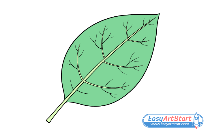 leaf drawing