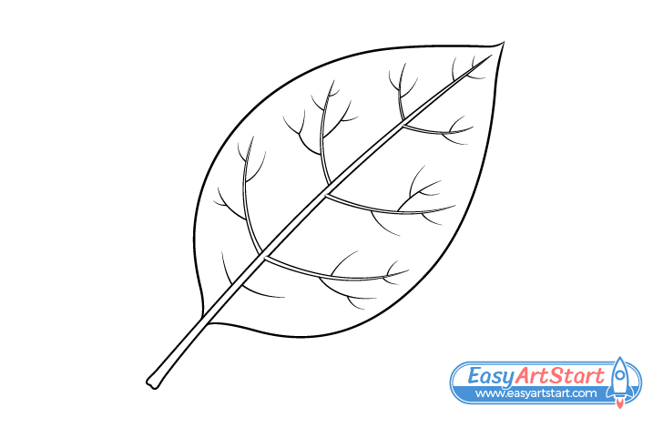 leaf line drawing