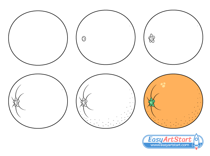 How to Draw an Orange Step by Step - EasyArtStart