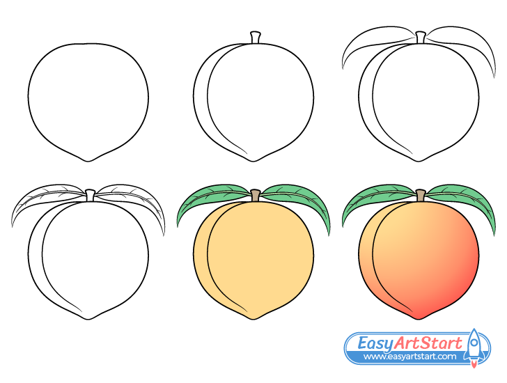 peach drawing step by step