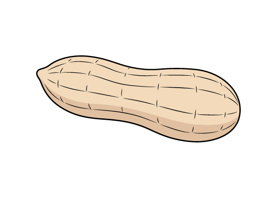 How to Draw a Peanut in 6 Steps - EasyArtStart