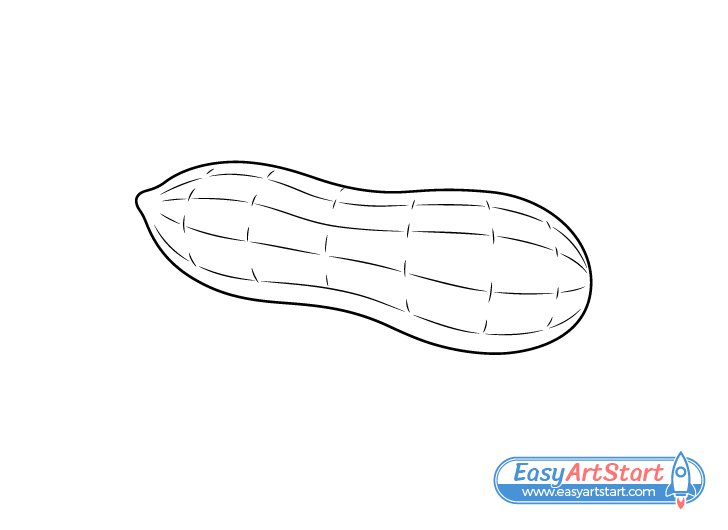 peanut line drawing