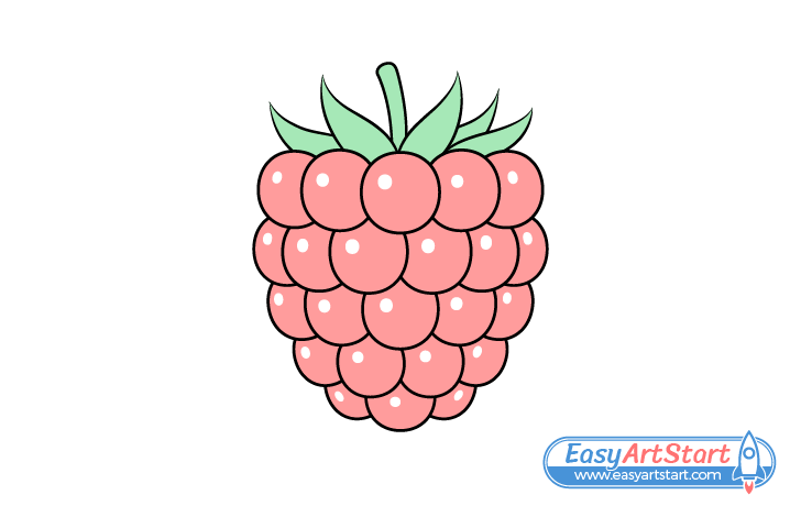 raspberry drawing