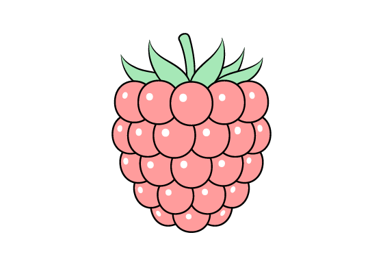 raspberry drawing tutorial