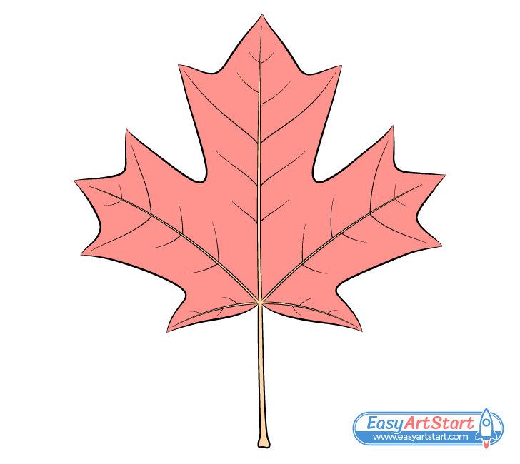 maple leaf drawing