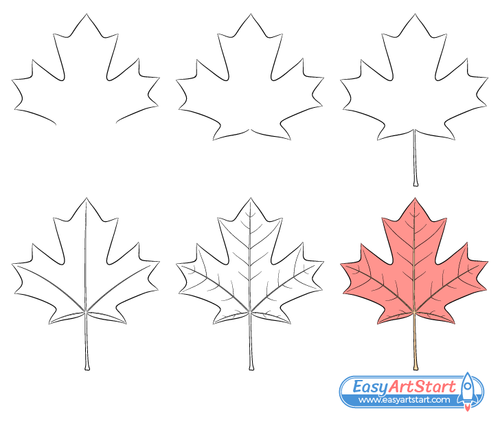 maple leaf drawing step by step