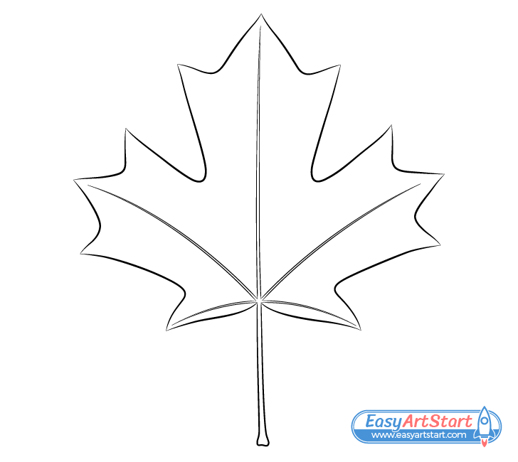 maple leaf veins drawing