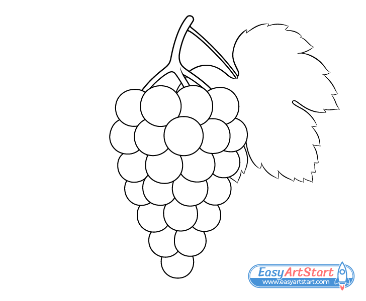 grape leaf details drawing