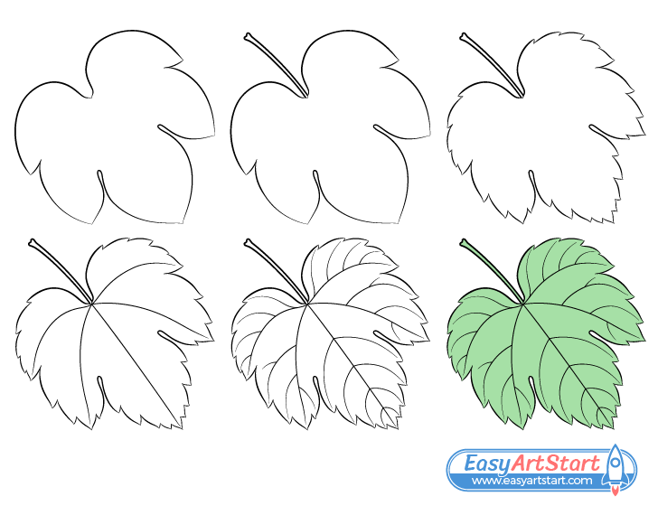 grape leaf drawing step by step