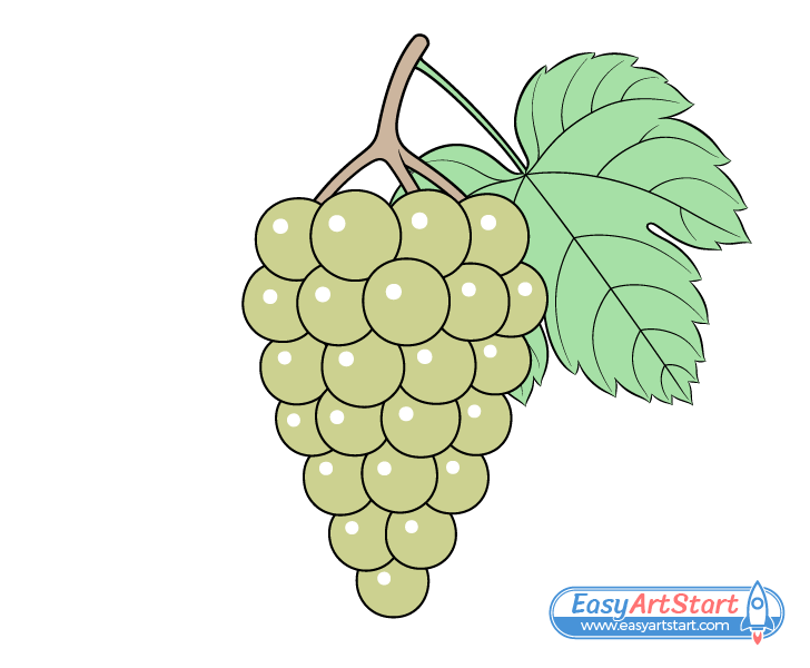 grapes drawing