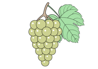 grapes drawing tutorial