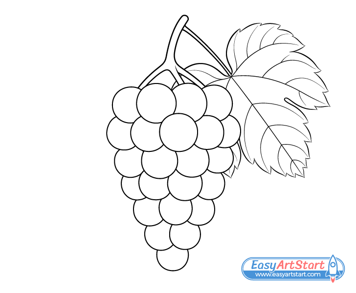 grapes line drawing