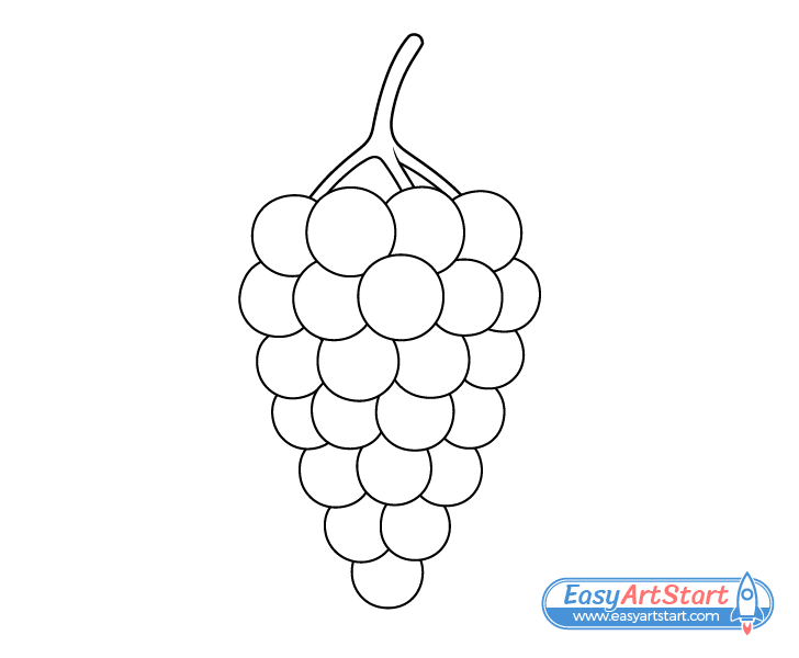 grapes outline drawing