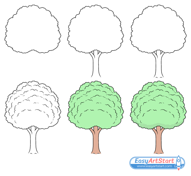 tree drawing step by step