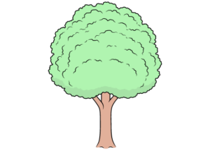 tree drawing tutorial